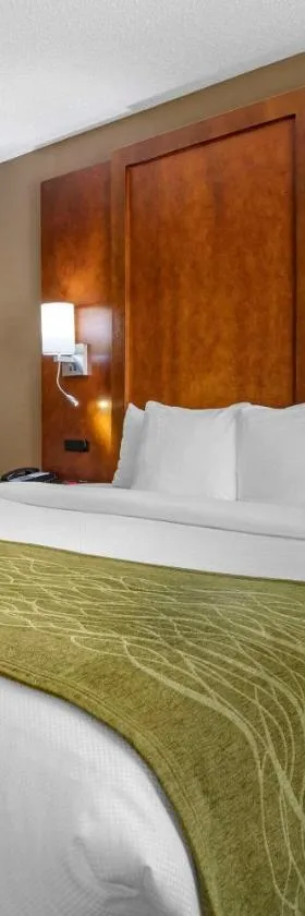 Comfort Inn Romeoville - Bolingbrook，位于罗密欧维尔的酒店