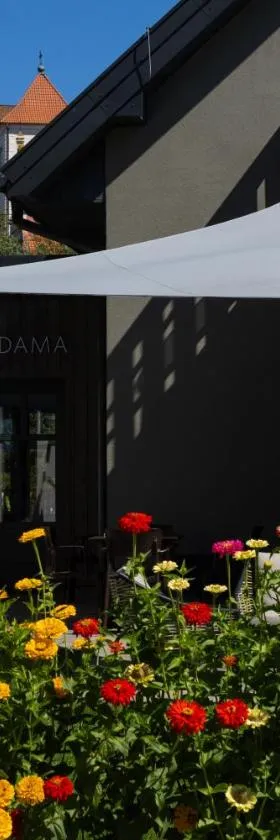 Czarna Dama Apartamenty，位于亚诺维茨的酒店