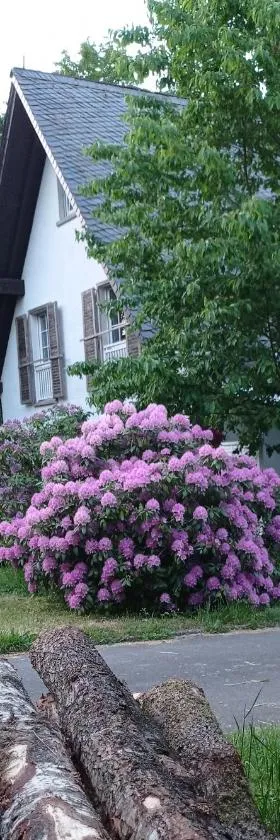 Privatzimmer im Landhaus mit großem Garten und Parkplatz，位于Reckershausen的酒店