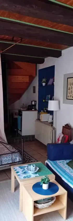 Chambre spacieuse dans joli village alsacien，位于沙特努瓦的酒店