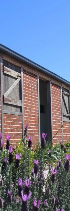 Dusty Hill Vineyard - Moffatdale，位于Moffatdale的酒店