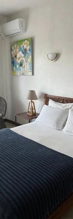 Hôtel Résidence Le Phoenix，位于圣皮埃尔的酒店