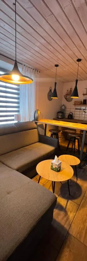 Loft Apartments，位于Šluknov的酒店