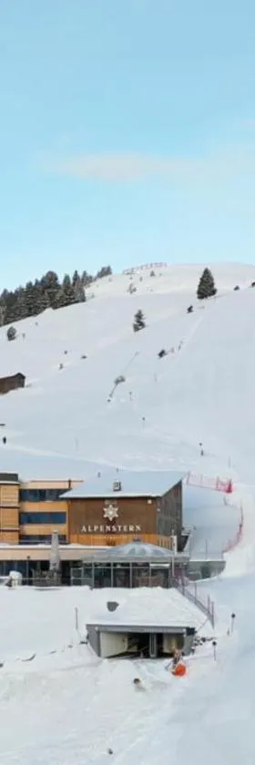 Alpenstern Genießerhotel，位于达米尔斯的酒店