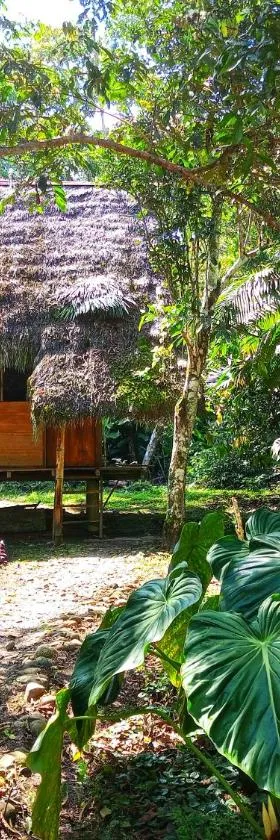 Cabañas Awana，位于Río Arajuno的酒店