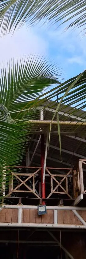 Posada El Acuario，位于巴亚索拉诺的酒店