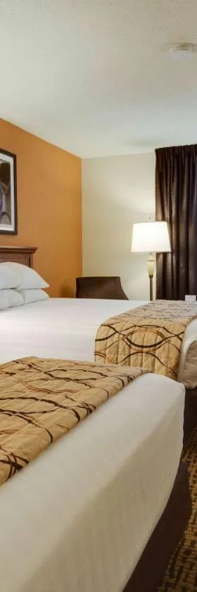 Wingate by Wyndham St Louis-Fenton Route 66，位于芬顿的酒店