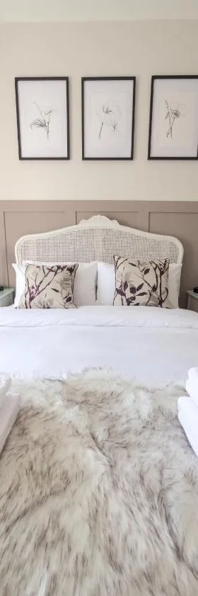 The Lilley Pad in Ludlow Cosy, Central, Perfect for Couples, Netflix & Parking Permit，位于勒德洛的酒店