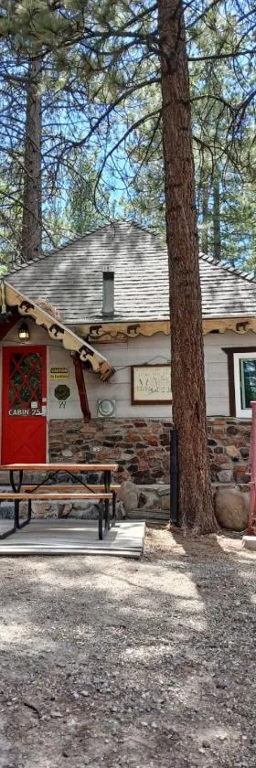 Big Bear Lake - Tulip Lane Cabin #25，位于大熊湖的酒店