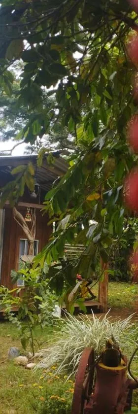 Hostal La Cabaña，位于Mesetas的酒店