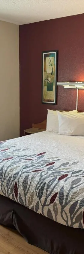 Sycamore Suites，位于伊利里亚的酒店