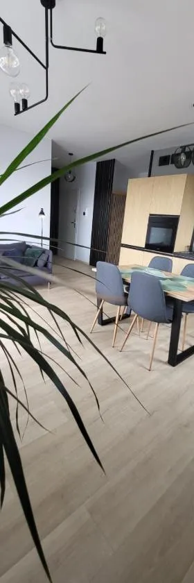 Apartament SOLO，位于格但斯克普鲁什奇的酒店