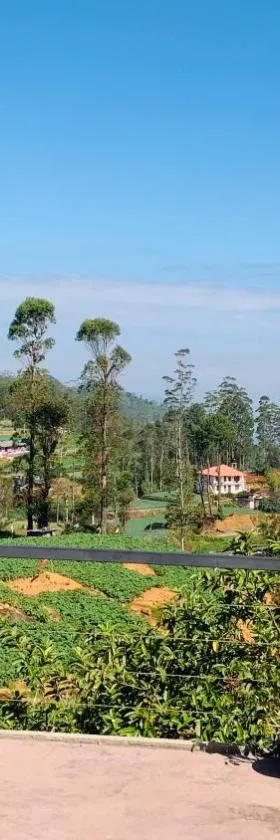 Venus Inn Nuwara Eliya，位于努沃勒埃利耶的酒店