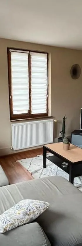Grand appartement à Barr，位于巴尔的酒店