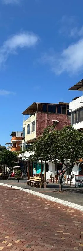 Plaza Lobos Suites，位于圣克里斯托瓦尔的酒店