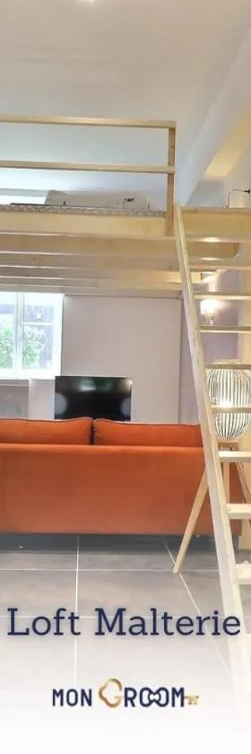 La Malterie Loft in old factory - Mon Groom，位于拉查佩里圣鲁的酒店