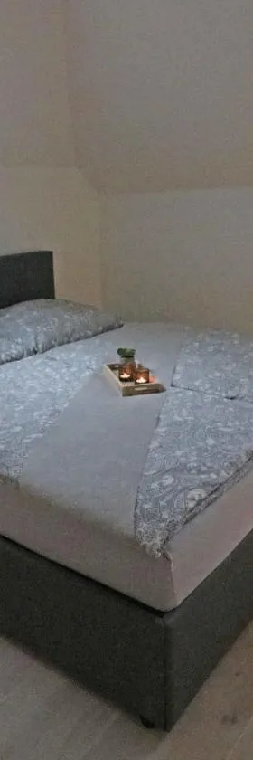 Steirermaxx Apartments，位于Gaal的酒店