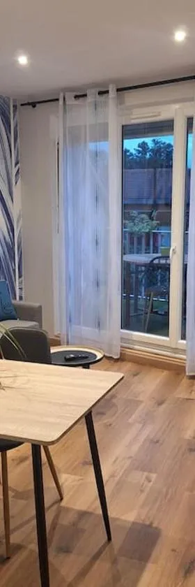 Appartement T1 bis avec balcon，位于Vendeuvre-sur-Barse的酒店