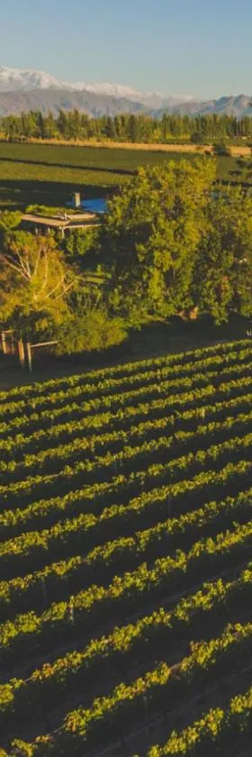 Enlace Wine House，位于卢汉德库约的酒店