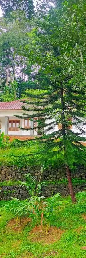 Anivilla Holiday Home Kunjithanny，位于Anachal的酒店