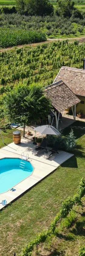Casa VIDA，位于Neštin的酒店
