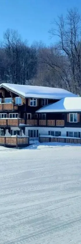 Davos Chalet，位于Upson的酒店
