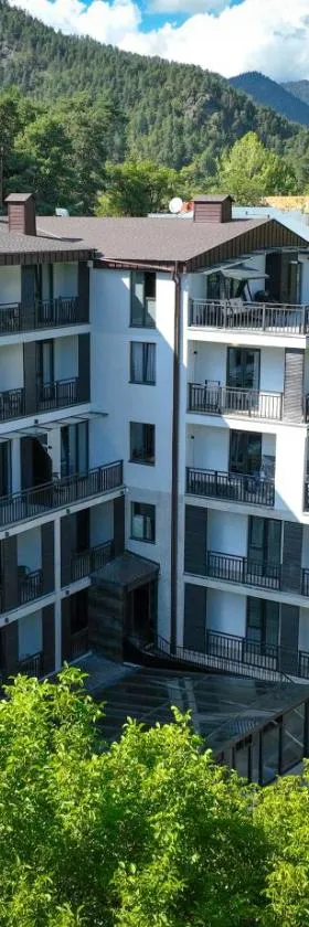 Eikon Apartments Abastumani，位于阿巴斯图马尼的酒店