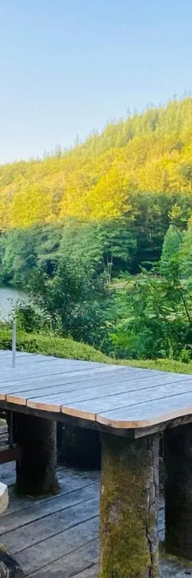 MAGNIFIQUE Location au bout de la route，位于Saint-Hilaire-les-Courbes的酒店