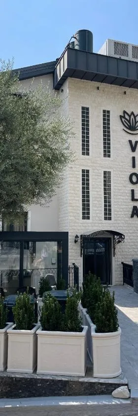 Viola Hotel Budva，位于布德瓦的酒店