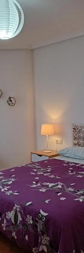 Piso Turístico Arévalo，位于阿雷瓦洛的酒店