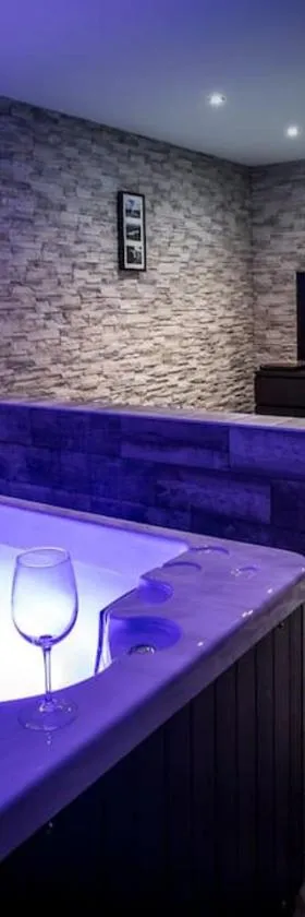 VIP 1 Loft avec spa privatif à 10 min de Dijon，位于Fauverney的酒店