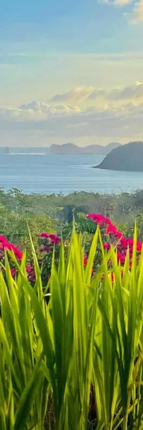 Lobster Bay Lombok，位于Awang的酒店