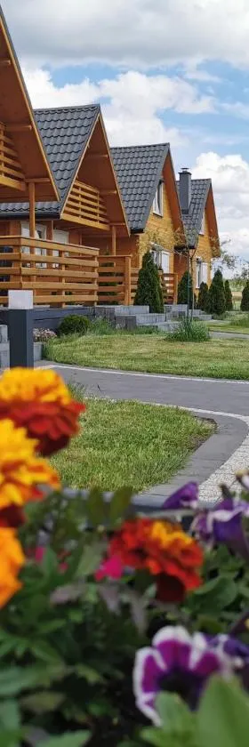 Biały Łabędź，位于Wilków的酒店