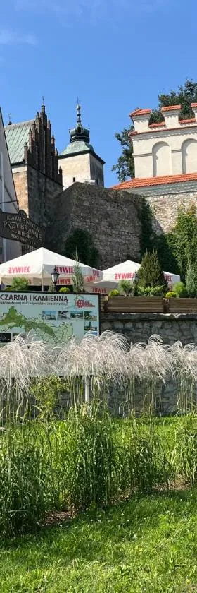 Kamienica przy Bramie，位于奥帕图夫的酒店