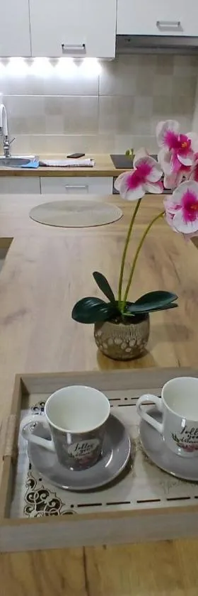 KEJ LUX Apartman，位于格拉迪什卡的酒店