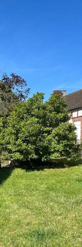Maison de campagne familiale，位于LʼHabit的酒店