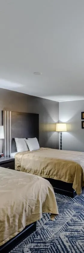 Quality Inn Olive Branch，位于奥利夫布兰奇的酒店