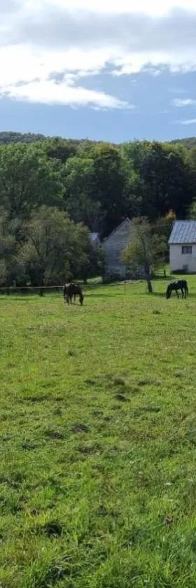 Horse Trail Plitvice，位于Turjanski的酒店