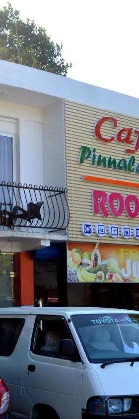 Cafe Pinnalanda Rooms，位于平纳瓦拉的酒店