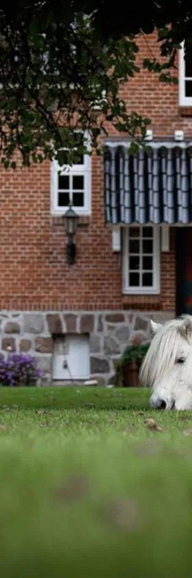 Søstgård B&B，位于Rødekro的酒店