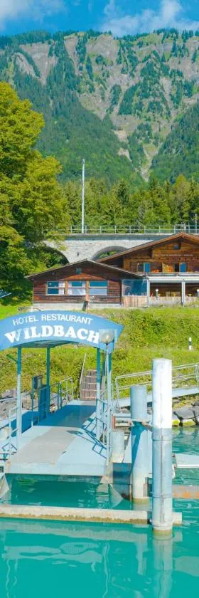 Hotel Wildbach Brienz，位于布里恩茨的酒店
