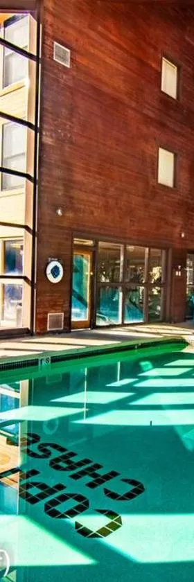 President Studio Pool-Spa Ski-in out Gym, Sauna, Laundry, BBQ，位于布赖恩峰的酒店