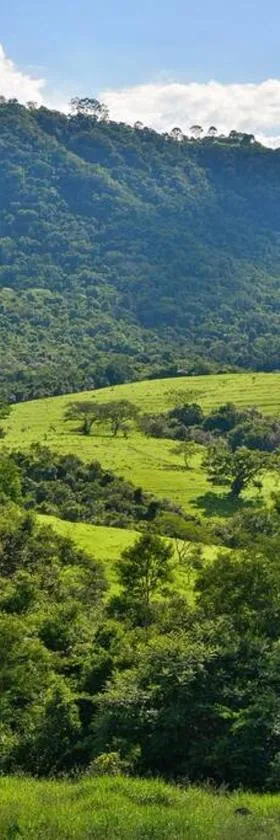Ecofazenda Lodge，位于Bofete的酒店