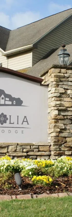 Magnolia Creek Lodge，位于Cottonwood的酒店