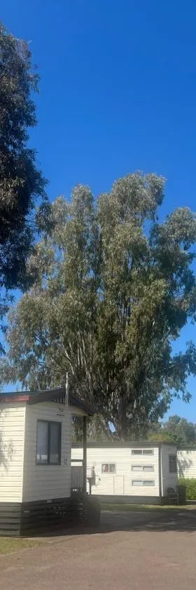 Gunnedah Tourist Caravan Park，位于冈尼达的酒店