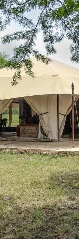 Dolly Farm & River Camp, Luxury Tents，位于育空河的酒店