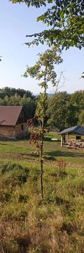 Dom Wypoczynkowy Cieklinka，位于Cieklin的酒店