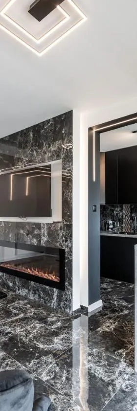 Black Luxury Apartment，位于Janów的酒店