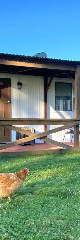 DONN4254C - Wilga Farm Stay - Cockatoo Cottage，位于Boyup Brook的酒店