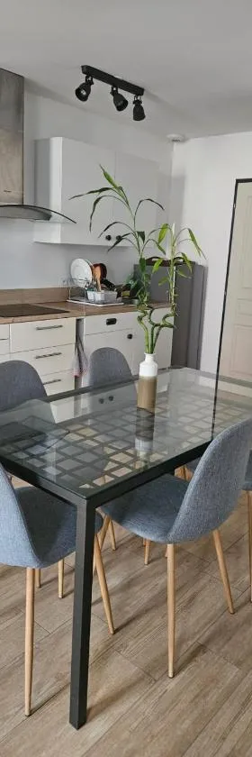Appartement dans une ancienne usine，位于Chazelles-sur-Lyon的酒店